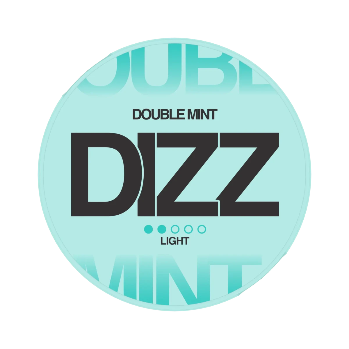 DIZZ Double Mint 4mg - Snusio.com