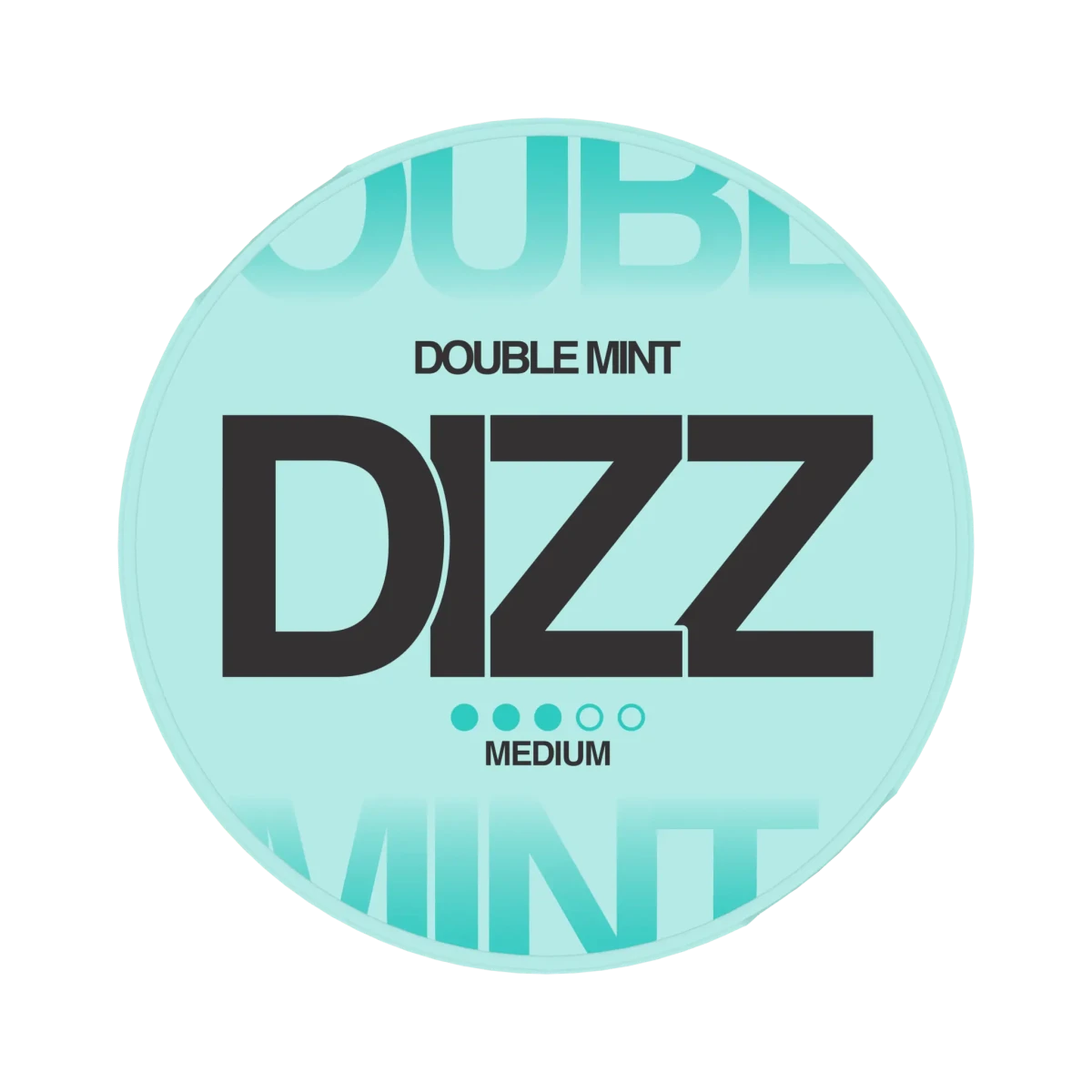 DIZZ Double Mint 8mg - Snusio.com